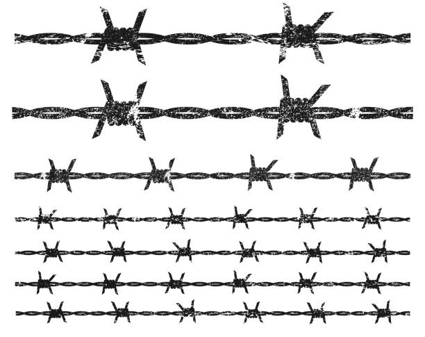 Grunge rusty shape silhouette of barbed wire. Vector illustration image. Isolated on white background. Barbwire fence barrier seamless pattern, texture. Grunge rusty shape silhouette of barbed wire. Vector illustration image. Isolated on white background. Barbwire fence barrier seamless pattern, texture. rusty barb stock illustrations