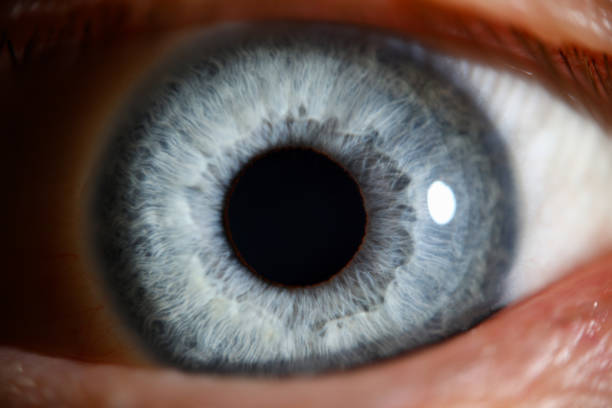 istock Blue eye male human super macro closeup 1193036993