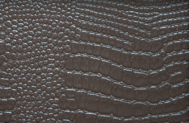 istock Dark brown reptile skin close-up on a cut. 1193041183