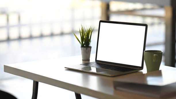 istock Empty screen laptop and coffee mug  with plant on white table. 1193042653