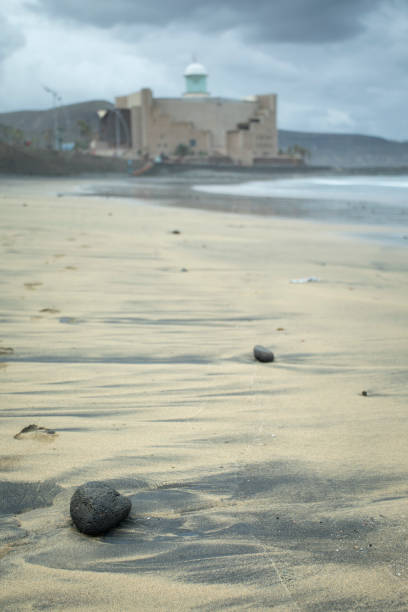 Palm Trees on Rocky Beach with Los Cristianos, Tenerife in background