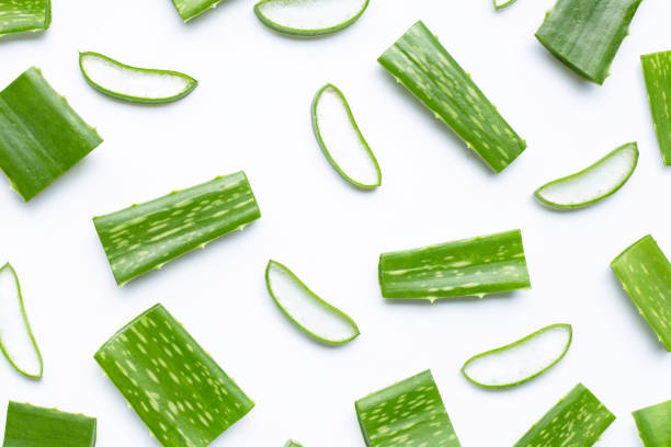 istock Aloe Vera cut pieces with slices on white background. 1193047416