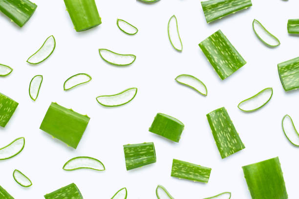 istock Aloe Vera cut pieces with slices on white background. Copy space 1193047450