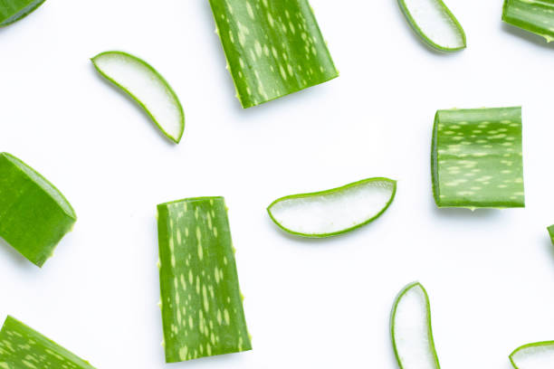 istock Aloe Vera cut pieces with slices on white background. 1193047652