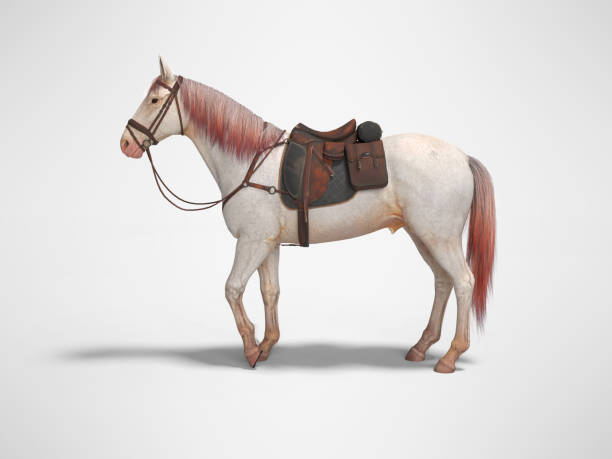 istock White horse with bridle left view 3d render on gray background with shadow 1193048040