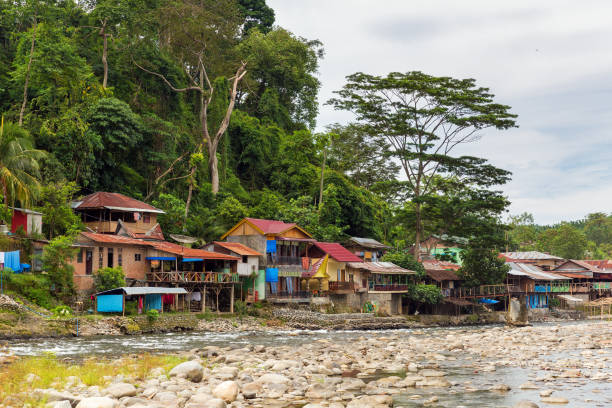 istock Bukit Lawang cityscape 1193050031
