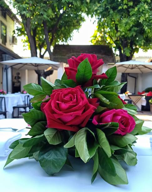 istock Red rose with green leaves on a white table, 1193051000