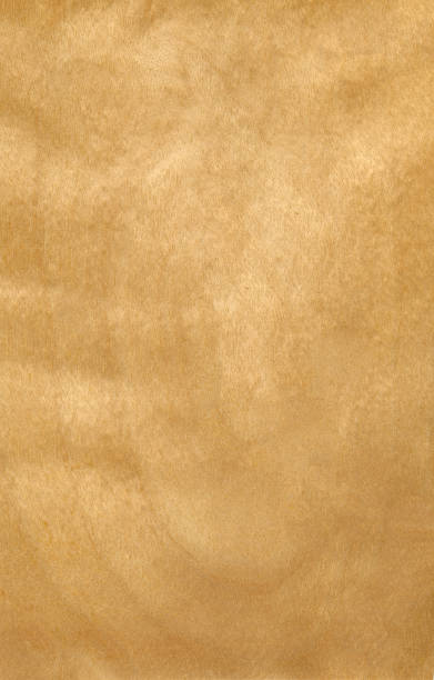 istock Polished wood textured surface for design and interior 1193052514