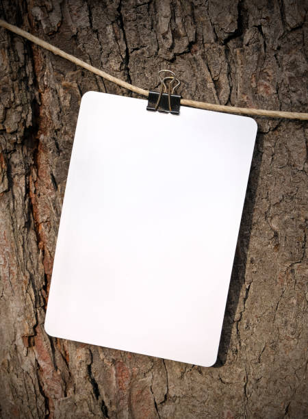 leeres weißes papier auf baumhintergrund / outdoor - rainforest austria nature tree stock-fotos und bilder