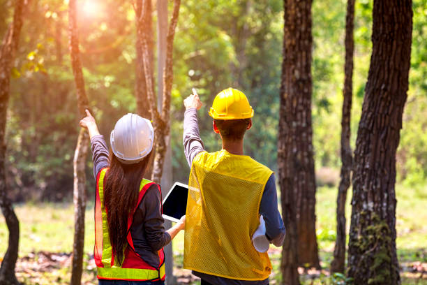 istock The supervisors are constructing roads in the forest. Young Engineer female holding blueprint on hand. Engineer team working on project at the forest. Technical operaters and Labourers. 1193058437