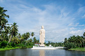 hikkaduwa-sri-lanka-25-november-2019-bud