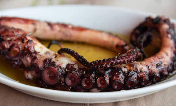 istock Delicious grilled octopus tentacle on plate, mediterranean cuisine. 1193065321