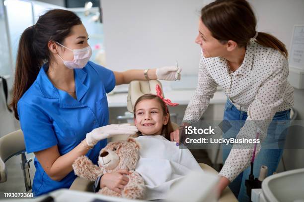 Dentist Woman Examining Tooth Patient In Ambulant Stock Photo - Download Image Now - Adult, Assistant, Brushing Teeth