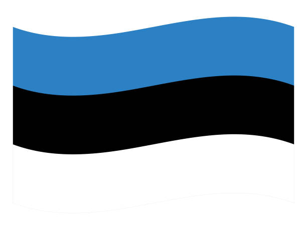 에스토니아의 웨이브 플래그 - estonia flag pennant baltic countries stock illustrations