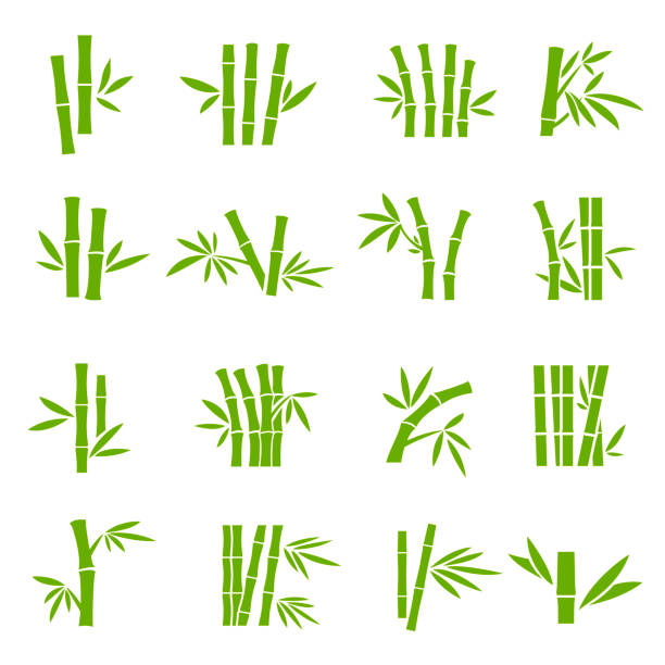 ilustrações, clipart, desenhos animados e ícones de a árvore de bambu ramifica ícones do vetor da cor ajustados - bamboo