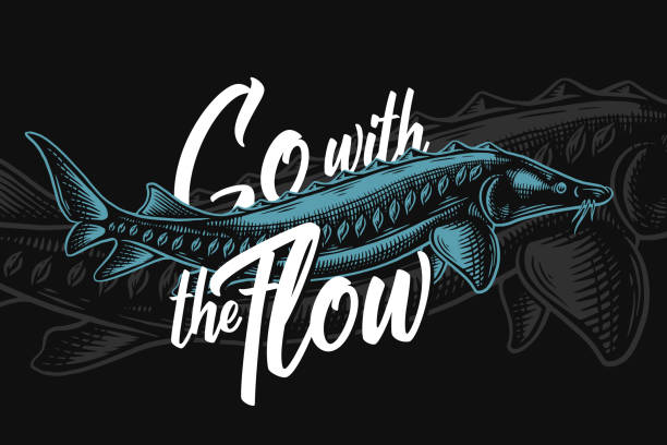 ilustrações de stock, clip art, desenhos animados e ícones de vector engraved illustration of a sea sturgeon with lettering quote "go with the flow" - caviar