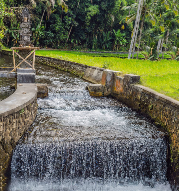 istock River in Balinese style in the park 1193086860