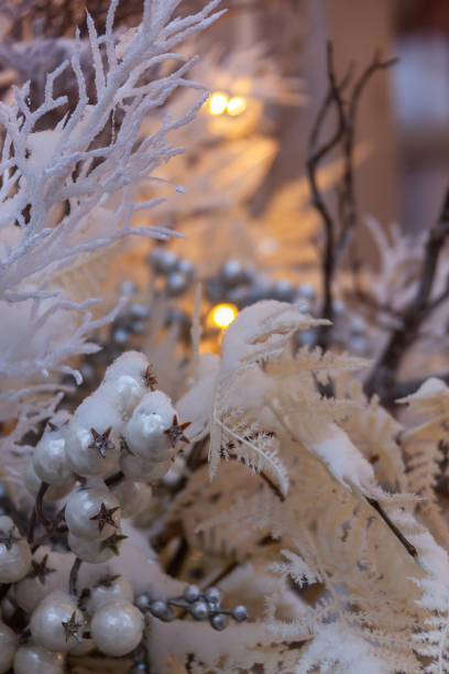 istock Shiny silver holly berries and white branches covered with snow 1193092117