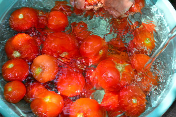 istock fresh red juicy tasty tomatoes 1193096473