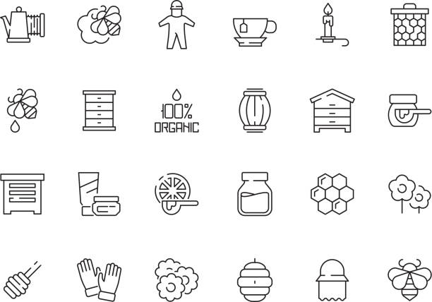 ilustraciones, imágenes clip art, dibujos animados e iconos de stock de icono de miel. jarra de abeja con miel líquida de hierbas alimentos saludables naturales de la colección de vectores apiarios - spoon honey cute jar