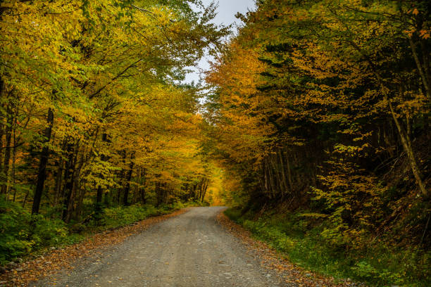 istock A Beautiful Mountain Road in Autumn 1193099675