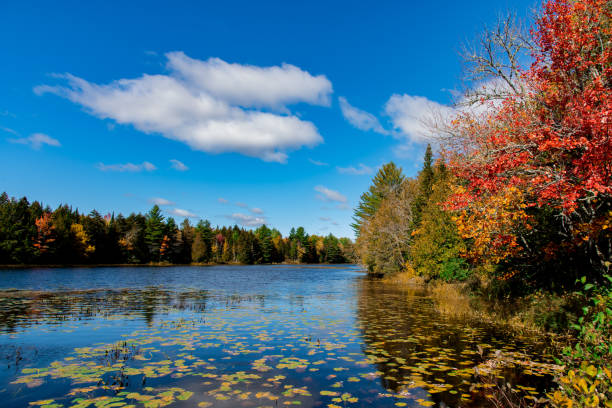istock A Beautiful Maine Fall Landscape 1193099846