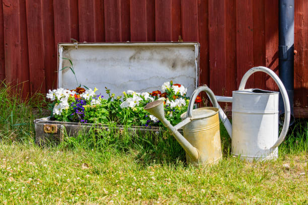 Suitcase used as a flower bed filled with colorful flowers stock photo
