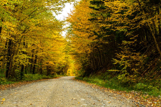 istock A Beautiful Mountain Road in Autumn 1193101836