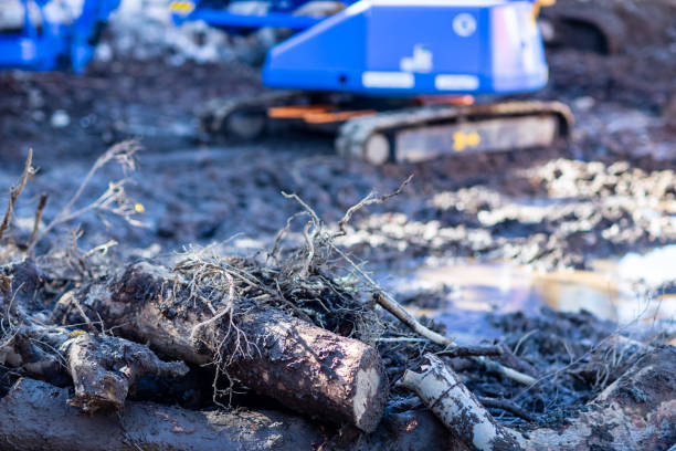 istock Group of excavator working on a construction site 1193102208