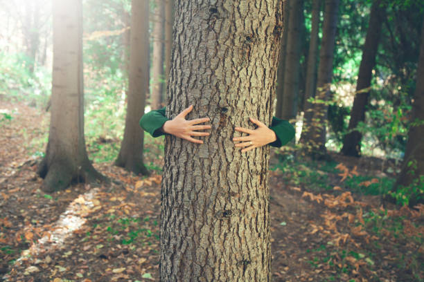 istock woman hand in tree in nature 1193102886