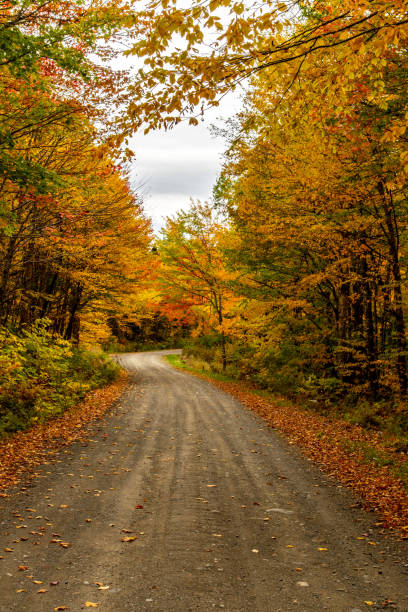 istock A Beautiful Mountain Road in Autumn 1193102901