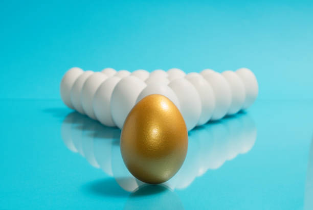 istock Concept of individuality, exclusivity, better choice. 1193105904