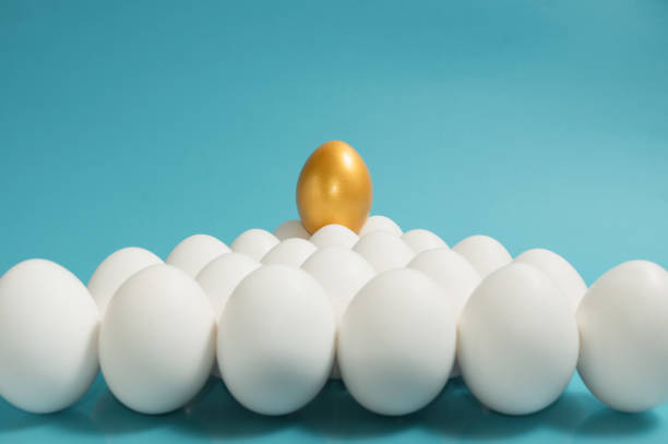 istock Concept of individuality, exclusivity, better choice. 1193106153