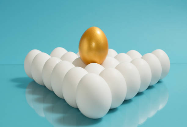 istock Concept of individuality, exclusivity, better choice. 1193106166