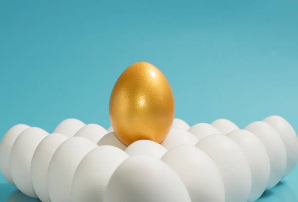 istock Concept of individuality, exclusivity, better choice. 1193106649