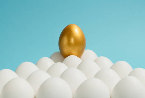 istock Concept of individuality, exclusivity, better choice. 1193106651