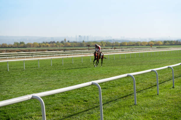 lead the horse to races