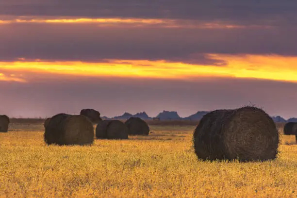 haybales at badlands at sunrise