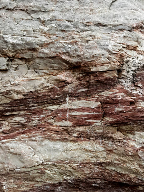istock Texture background of rock. Rocky surface close-up. 1193117532