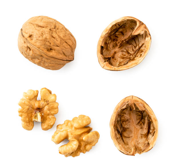 istock Set the walnut, shell and kernel of walnut on a white background. The view of top. 1193117600