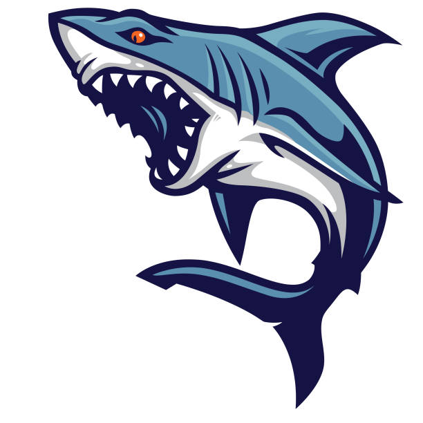 Shark Bite vector art illustration