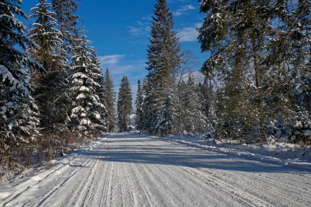 istock winter mountain road at sunny day 1193118430