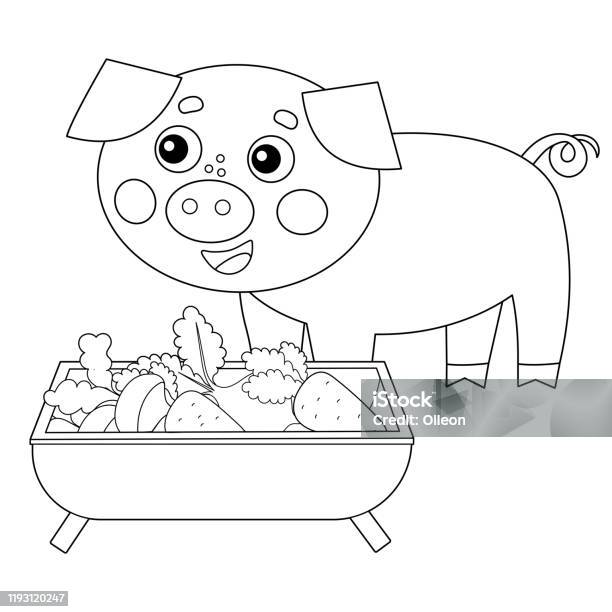  Ilustración de Coloreando La Página Esquema De Cerdo De Dibujos Animados O Cerdos Con Alimentos Animales