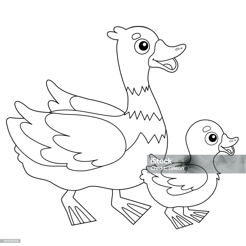 Tô Màu Trang Phác Thảo Vịt Hoạt Hình Với Vịt Con Động Vật Trang ...