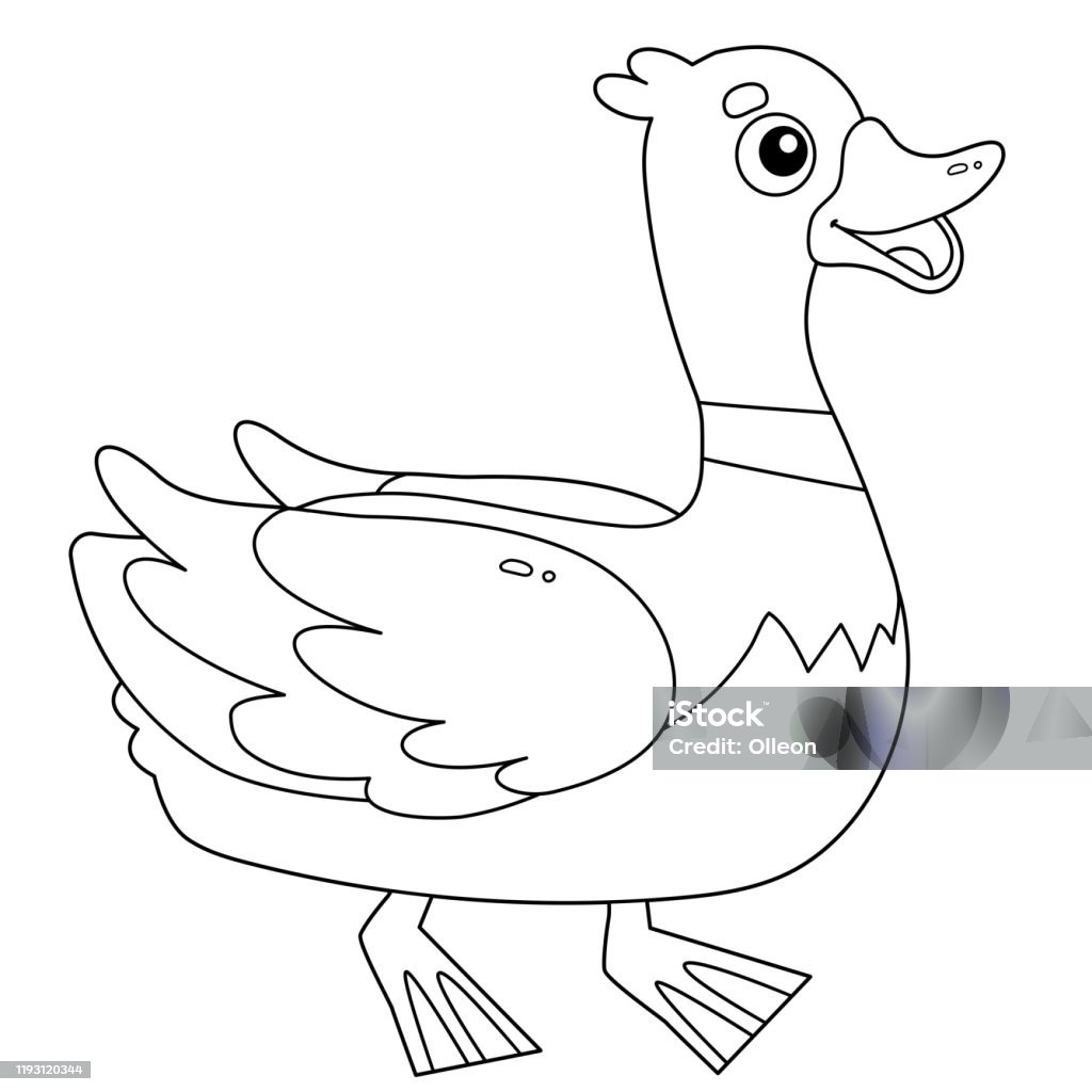 Tô Màu Phác Thảo Trang Của Vịt Hoạt Hình Hoặc Drake Động Vật Trang ...