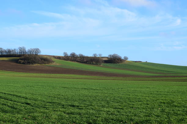 istock green hills in December, Eifel 1193121862