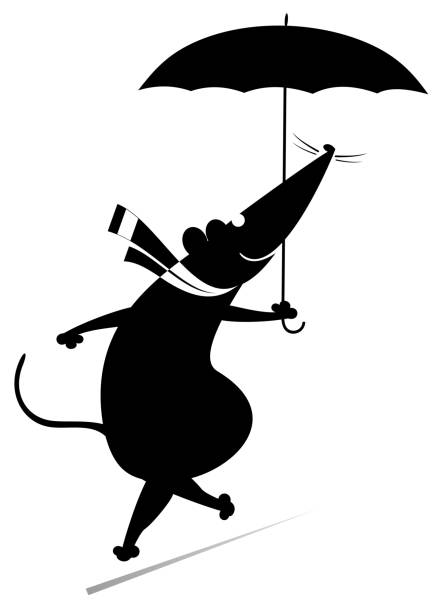 Fine day and rat or mouse with umbrella illustration Cartoon rat or mouse walking with an umbrella silhouette black on white opossum silhouette stock illustrations