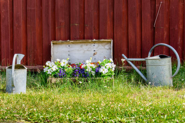 istock Suitcase used as a flower bed filled with planted flowers 1193123953