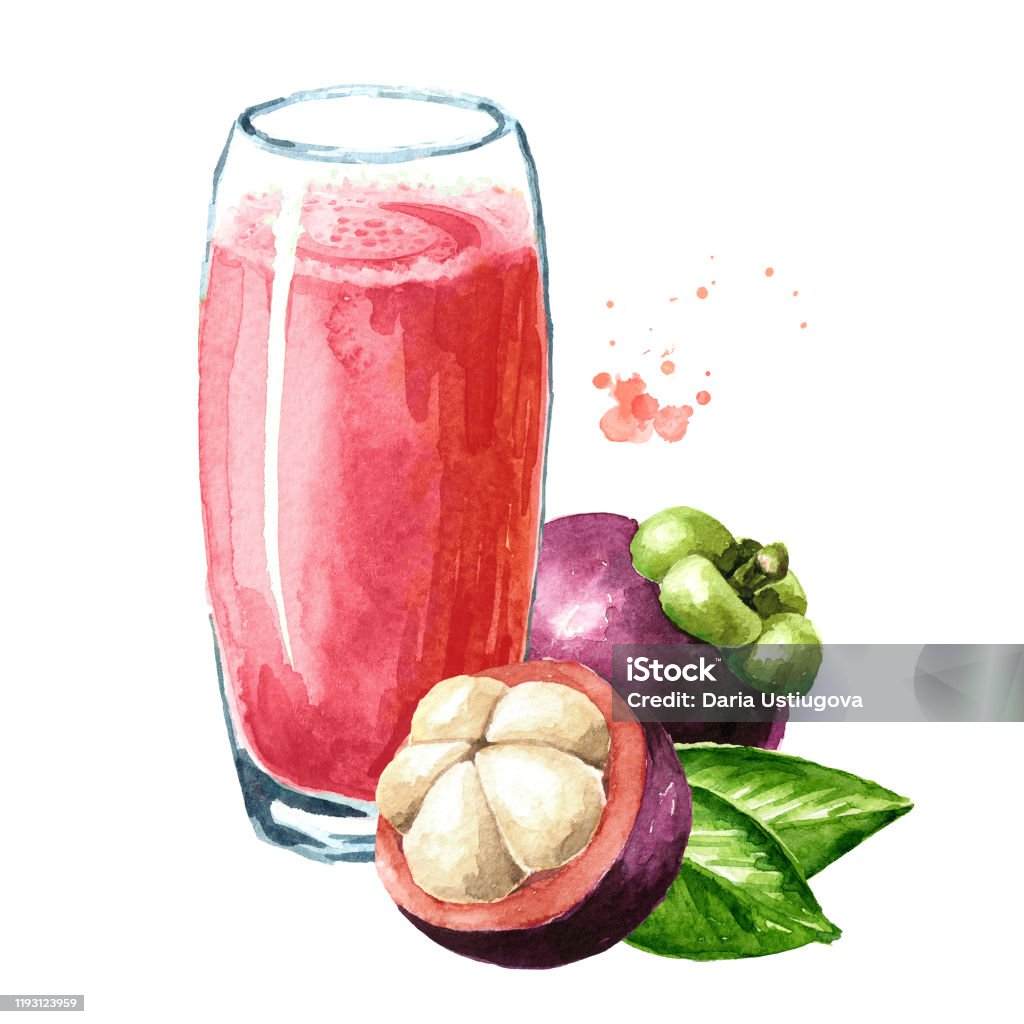 Ly Nước Ép Măng Cụt Tranh Vẽ Tay Màu Nước Được Vẽ Minh Họa Cách Ly Trên Nền Trắng Hình minh họa Sẵn có - Tải xuống Hình ảnh Ngay bây giờ - Ly Nước Ép Măng Cụt Tranh Vẽ Tay Màu Nước Được Vẽ Minh Họa Cách Ly Trên Nền Trắng Hình Minh Họa Sẵn Có - Tải Xuống Hình Ảnh Ngay Bây Giờ -