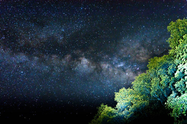 istock Light painted trees against starry sky with Milky Way background. Night landscape with alone trees on the hill and colorful & clear bright milky way. 1193126465